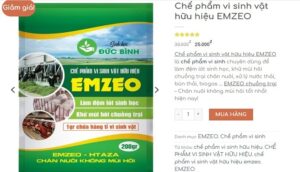 Sử dụng chế phẩm EMZEO làm đệm lót sinh học cho chuồng gà